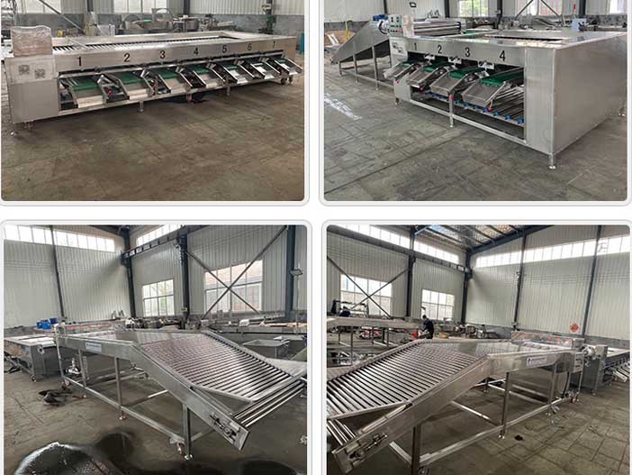 classifier classifier